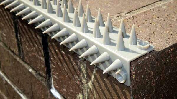 Climb Spikes